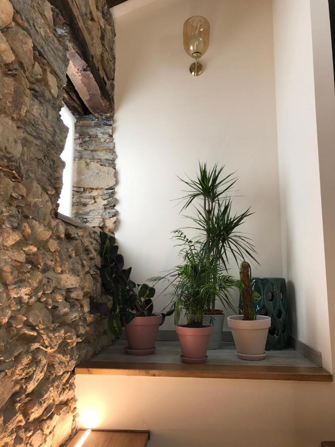 Studio Rural Vilarinho  Ngoại thất bức ảnh