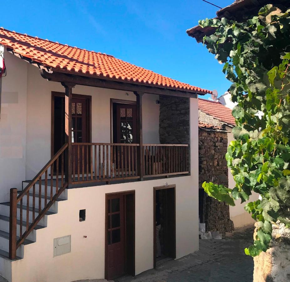 Studio Rural Vilarinho  Ngoại thất bức ảnh